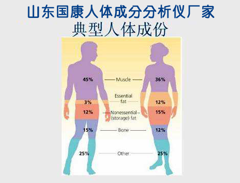 组成人体成分有哪些【山东草莓软件APP下载】