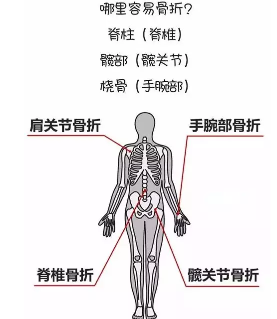 草莓视频入口检测仪