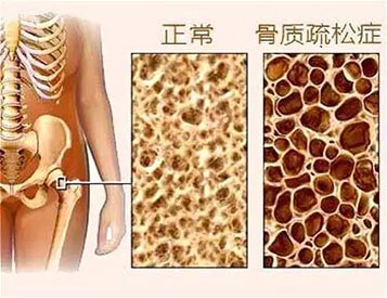 草莓视频入口检测仪厂家